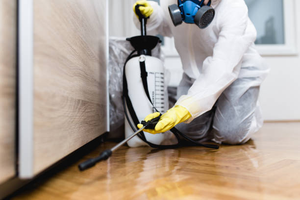 Best Exterminator Services  in Providence, UT
