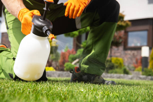 Best Cockroach Control Services  in Providence, UT