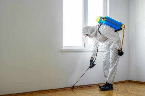 Best Best Pest Control Companies  in Providence, UT