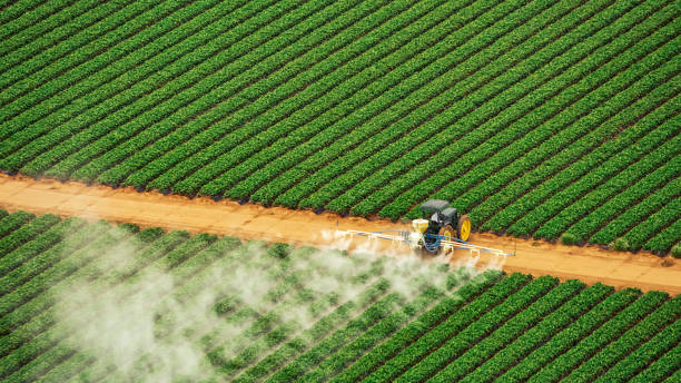 Best Pest Control for Businesses  in Providence, UT