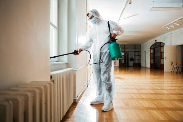 Best Pest Control Treatment  in Providence, UT