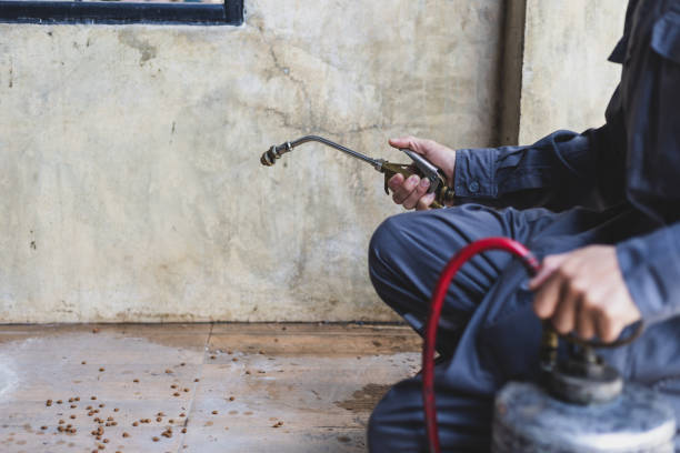 Best Mosquito Control Services  in Providence, UT
