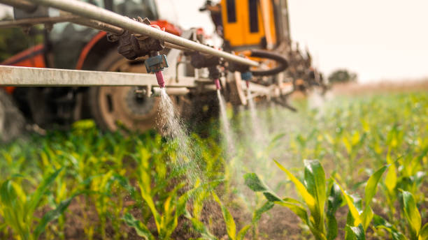 Best Pest Removal Services  in Providence, UT